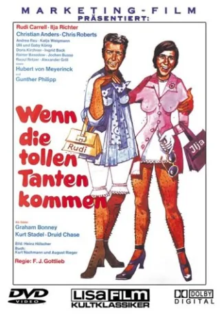 Wenn die tollen Tanten kommen [DVD] [2002]