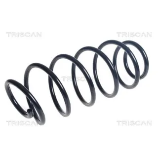 Triscan Feder vorne Peugeot 308 1,6 875028285