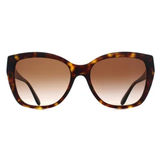 Emporio Armani EA4198 502613 glänzende Sonnenbrille in Havanna mit braunem Farbverlauf