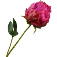 Künstliche Zimmerpflanze Seidenblume Pfingstrose Knospe Pink (58cm), SILK-KA