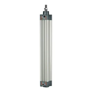 RIEGLER NORMZYLINDER, DOPPELTWIRK., MAGNET, KOLBEN-?? 125, HUB 100, G 1/2