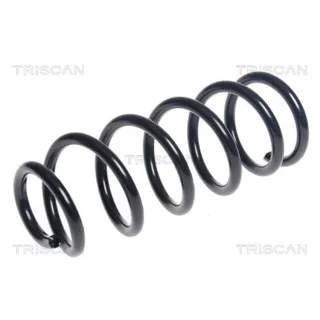 Triscan Feder hinten Mini 875011184