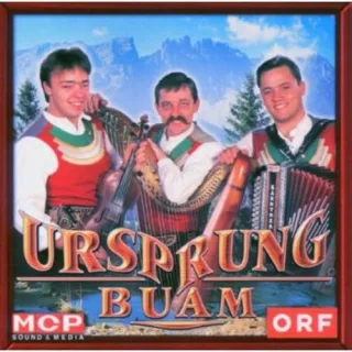 I Bin der Teufelsgeigerbua [Audio CD] Ursprung Buam