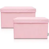 Lifeney Faltbox Aufbewahrungsbox, Rosa, groß, 2er Set