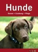 Hunde: Rassen Erziehung Pflege