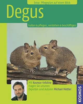 Degus: Halten & Pflegen Verstehen & Beschäftigen [Taschenbuch] [2007] Mettler Michael