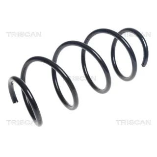 Triscan Feder vorne Mercedes A-Klasse B-Klasse Cla 875023175