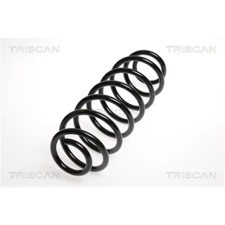 Triscan Feder hinten Mazda 2 DY