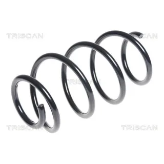 Triscan Feder vorne Hyundai I30 1,6 87504389