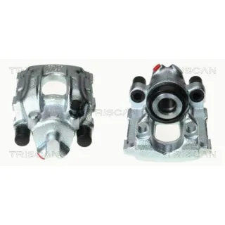Triscan Bremssattel hinten links BMW 3er X3 8170343010