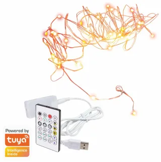 LOGILINK Wi-Fi Smart RGB-Lichterkette SH0130, mit Fernbedienung, 5 m