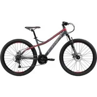 Bikestar Mountainbike, 21 Gang Shimano RD-TY300 Schaltwerk, Kettenschaltung, für Damen und Herren, Kettenschaltung