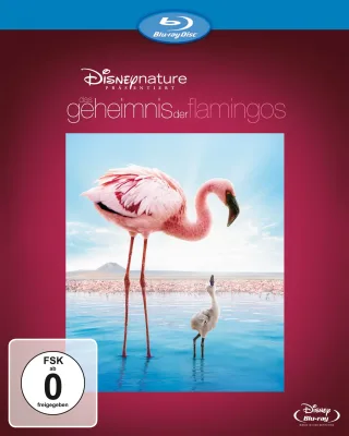 Das Geheimnis der Flamingos [Blu-ray]