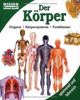 Der Körper: Organe Körpersysteme Funktionen