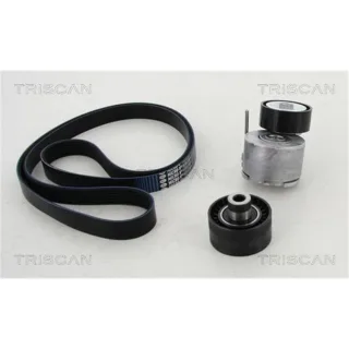 Triscan Keilrippenriemensatz Citroen Peugeot 864228021