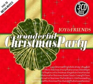 Wonderful Christmas Party