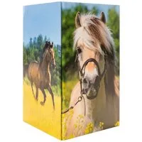 HERMA Aufbewahrungsdose Herma Stifteköcher aus stabilem Karton B/T/H 8 x 8 x 13 cm Pferdewiese