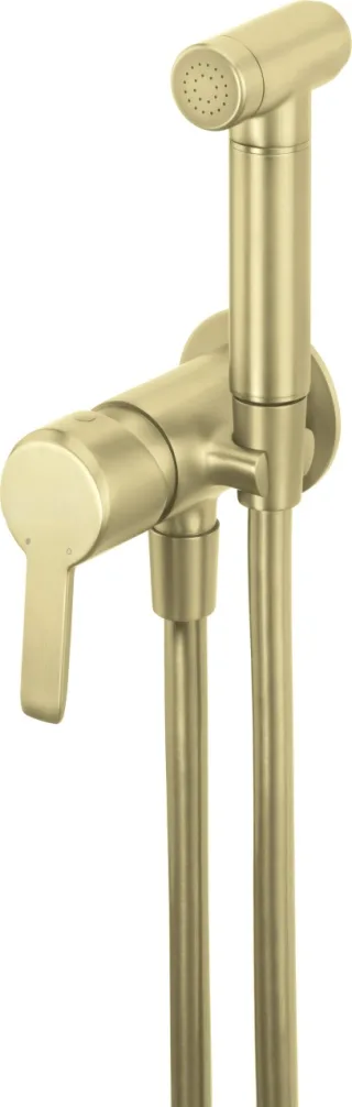 Neuesbad Serie 200 Unterputz-Bidetarmatur mit Bidet-Handbrause, Gold Gebürstet NB1DEBQAR34M1