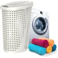 GarPet Wäschebox Wäschekorb mit Deckel Wäschesammler Rattan Wäschekorb Plastik 43 L