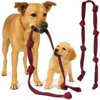 BAY-Sports Zerrspielzeug ZerrX Hundespielzeug Gurt Seil Knoten Tau Hunde zum Zerren und Ziehen, (Überlänge mit vielen Knoten), Zerren Ziehen Kraft messen Kraftspiele Für kleine mittlere groß Hunde