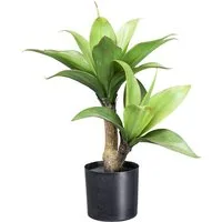 Kunstpflanze Agave Agave, Creativ green, Höhe 45 cm, mit 2 Stämmen