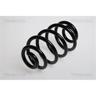 Triscan Feder hinten Opel Vectra 875024079