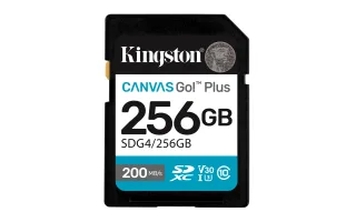Kingston Canvas Go! Plus | sdg4/256gb | Flash-Speicherkarte