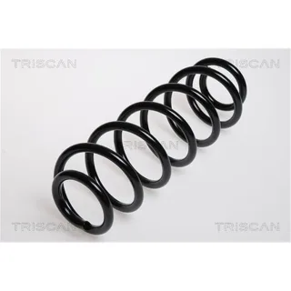 Triscan Feder hinten Seat Toledo Skoda Octavia Rapid VW New
