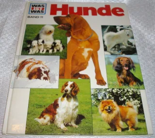 Hunde - Aus der Serie: Was ist was?
