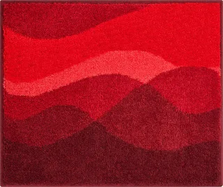 55 x 65 cm