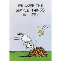 Close Up Poster Peanuts Poster We Love The Simple Things In Life! 61 x 91 cm