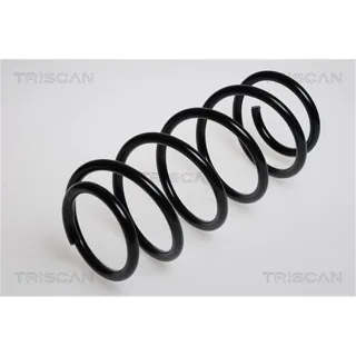 Triscan Feder vorne Opel Astra G 875024006