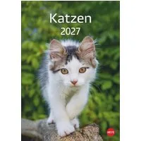 HEYE Wandkalender Katzen Kalender 2027