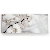 möbel-direkt.de Leinwandbild Weiß Orchidee Blumen Blüten Hell Fotokunst