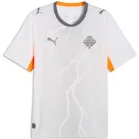 PUMA Trainingsshirt Island 2026 Auswärtstrikot Herren