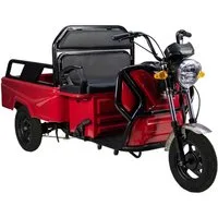 Urban Hopper E-Motorroller Cargo Compact Elektro Lastenrad Lasten-Dreirad VT5-Mini Pritsche, 1000 W, 25 km/h, Pritsche klappbar Reichweite ca. 40km Zuladung 215kg Silber, Rot, Weiß
