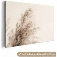 OneMillionCanvasses® Leinwandbild Pflanzen - Pampaswedel - Pampasgras - Beige - Natur, Fotodruck (1 St), Leinwand Bilder Klein, Wand Dekoration Aesthetic 30x20 cm