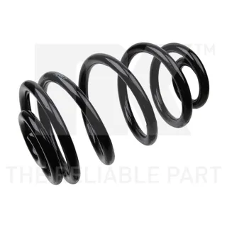 NK Feder hinten Audi A6 C5