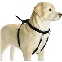 Beeztees Hunde-Erziehungsgeschirr Hundegeschirr Gentle Walker schwarz