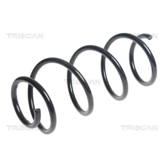 Triscan Feder vorne Kia Venga 87501881