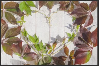Fussmatte 6374 | Größe: 60 cm x 45 cm