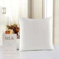 Vivi Idee Kissenbezug 100 % Maulbeerseide 22 Momme Satin Luxus 40x40cm 1 Stk., temperaturregulierend, schützt Haut & Haar, ideal für Schönheitsschlaf