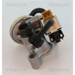 Triscan AGR-Ventil Mercedes 881323005 3,2