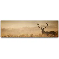 möbel-direkt.de Leinwandbild Bilder XXL Hirsch Wandbild auf Leinwand