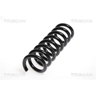 Triscan Feder hinten Mercedes Cls E-Klasse