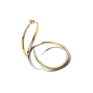 Pandora Creolen Essence 263299C00