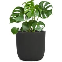 Pflanzwerk® Pflanzkübel CUP Premium Fiberglas Blumenkübel Frostbeständig mit Lotus-Effekt, Lotus-Effekt - Handgefertigt - Rund - Frostbeständig
