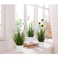 Kunstgras Grasbusch, naturgetreue Kunstpflanze, 35cm hoch, OTTO home, Höhe 35 cm, im 3 teiligen Set, mit Übertopf wahlweise in schwarz oder weiß
