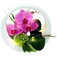 Kunstorchidee Orchidee, OTTO home, Höhe 20 cm, im Keramiktopf, mit LED-Beleuchtung