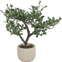 Künstliche Zimmerpflanze Kunstblumen, formano, Höhe 43 cm, Höhe: 43cm, Farbe: Grün, Motiv: Baum